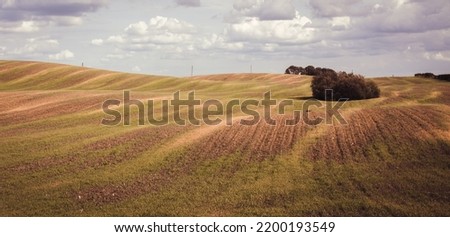 A hilly hill, cultivated in agriculture ; yellow and brownish tones, cloudy sky with rain clouds.