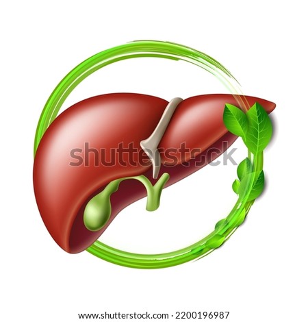 Healthy human liver in green protective circle with leaves. Health care and healthy food concept. Vector illustration isolated on white background Royalty-Free Stock Photo #2200196987