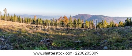 Panoramic view from the Javorový mountain in the Beskydy mountain range (Silesia, Czech republic), sunny autumn evening, blue skies
