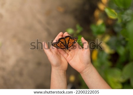 Young girls hands holding a beautiful orange butterfly.