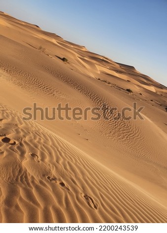 winter in algeria desert picture