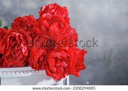 red rose isolated on a white table on a gray background

