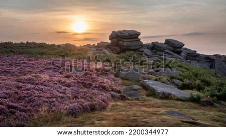 Stunning late Summer sunrise in Peak District over fields of heather in full bloom around Higger Tor and Burbage Edge Royalty-Free Stock Photo #2200344977