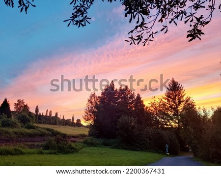 beautiful sunrise with trees and sky 