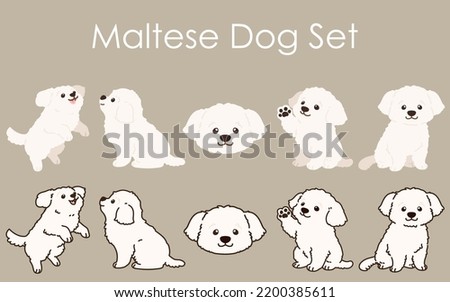 Simple and adorable white Maltese dog illustrations set