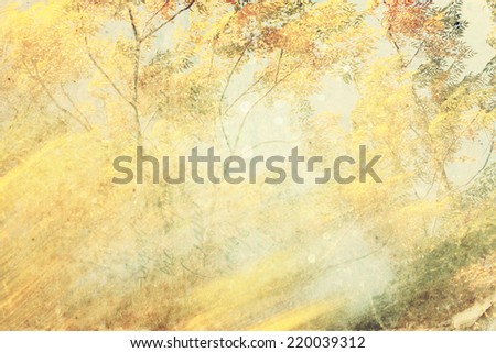 blurred abstract photo of light burst among trees and glitter bokeh. filtered image