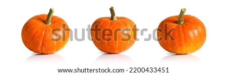 Pumpkins isolated on white background, ripe fresh vegetables side view. Set of orange whole mini pumpkins, small squash on Halloween, Thanksgiving. Design, food, template, nature and fall theme.