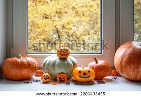 Halloween pumpkins by window at home in autumn. Vegetables set, orange food, sweets on window background. Concept of hallowen, fall, still life, interior, October, kitchen, season and holiday