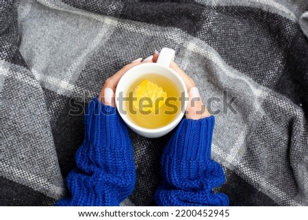 Female hands holding a pot of tea. Aesthetic concept of autumn. Top view of a photo of a cup and a birch leaf