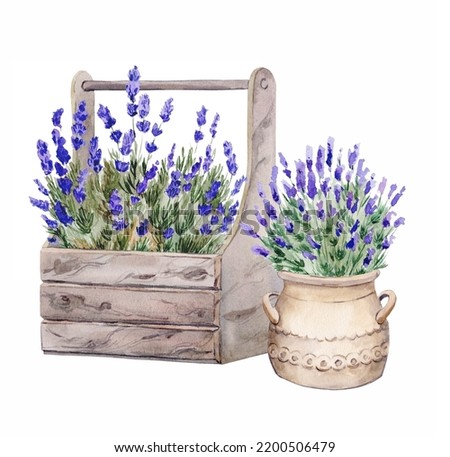 Hand-painted lavender watercolor in a wooden box. Decorative composition in the style of Provence. Flower box for wedding invitations and postcards.