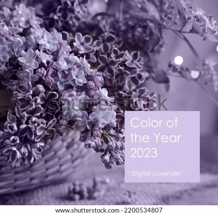 Spring blooming lilac flowers in wicker basket over purple background. Concept of trendy lavender color Digital Lavender. Vintage decor, Text Color of the year 2023 Digital Lavender