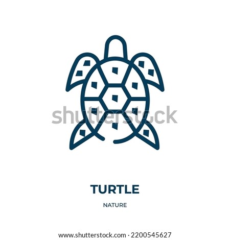 Turtle icon. Linear vector illustration from nature collection. Outline turtle icon vector. Thin line symbol for use on web and mobile apps, logo, print media.