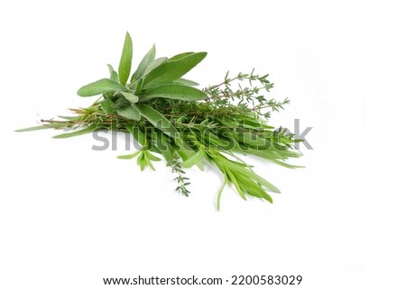 Bouquet of spicy aromatic herbs. Sage, thyme, tarragon on a white background. Tasty and healthy herbs close-up. Royalty-Free Stock Photo #2200583029
