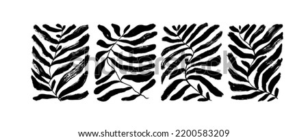 Contemporary organic plant shapes collection. Hand drawn abstract palm leaf in rectangle shapes. Vector black ink illustration with brush strokes. Abstract matisse and naive style of leaves. Royalty-Free Stock Photo #2200583209