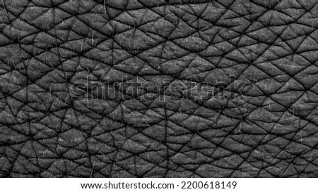 Elephant skin texture background, Asian elephant skin texture, Asian elephant reveals the texture of the animal skin.