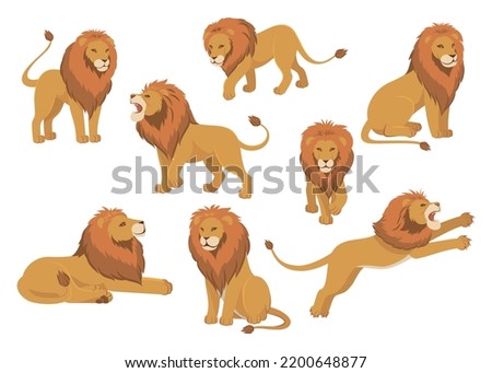 Lion flat cartoon set with isolated images of wild lion in different poses on blank background vector illustration Royalty-Free Stock Photo #2200648877
