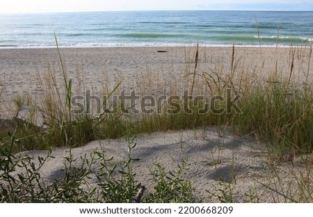 View of a sand dune with a strip of grass in the backlight, the Baltic Sea
