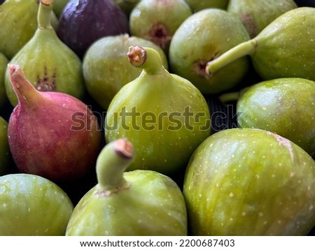 Ripe green and purple figs fruits close up