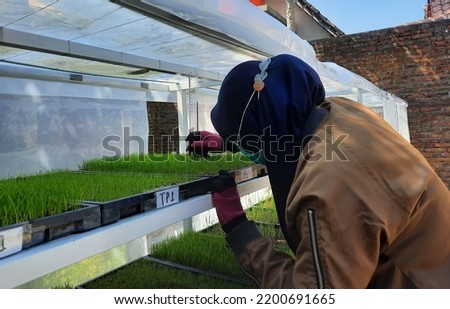 a picture of a woman with a noise effect measuring the height of a rice seed