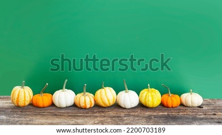 Halloween or thansgiving concept, row of orange and white pumpkins on bright green background, web banner with copy space
