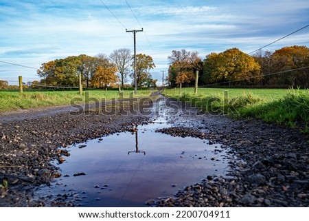 Empty stoney road with a puddle showing reflections in the foreground. Road leading to wooded trees on horizon