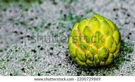 Real photo Ripened close macro sugar custard apple annona exotic tropical fruit. Oval scaly skin texture surface rough. Bright yellow green contrast color. Beauty nature wallpaper background