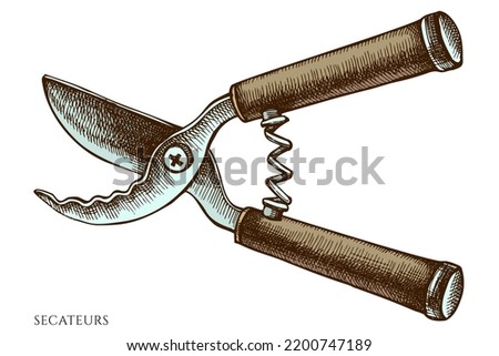 Gardening hand drawn vector illustrations collection. Colored secateurs.