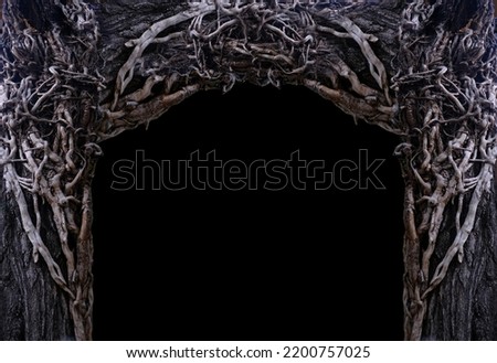 scary, surreal background with intricately intertwined branches of vines, halloween concept, time passed, end of life, Abstract concept symbolizes death, post-apocalyptic background for designer