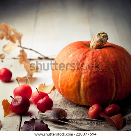 Pumpkin with wild apples, chestnuts and leaves on a wooden white background. Halloween, autumn background.