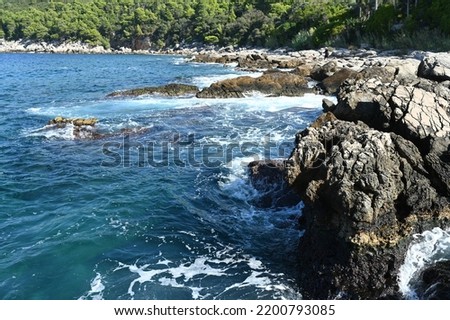 The rocky coastline of the Island of Lokrum in Dubrovik on the Adriatic sea. 