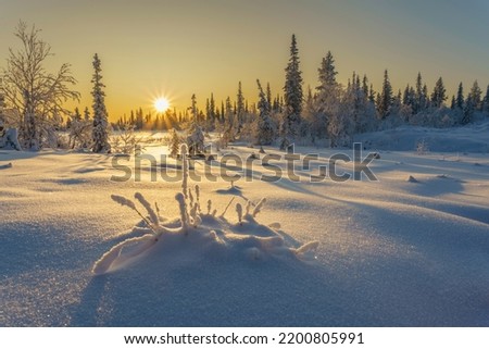 Winter landscape in direct light, nice warm color from afternoon light, snowy trees, Gällivare, Swedish Lapland, Sweden Royalty-Free Stock Photo #2200805991