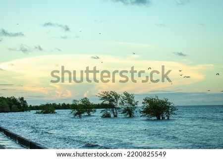 Sunset and clouds in the form of an ellipse over the lake shore with trees in the evening. Landscape nature, design, concepts. Royalty-Free Stock Photo #2200825549