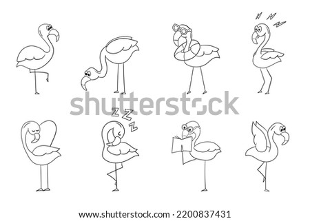 Set of flamingos, outline vector cartoon illustration on white. Coloring book. Cute cartoon bird
