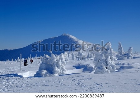 Beautiful frozen trees and hiking people on mountain trail. Sniezka Peak in background. Karkonosze Mountains (Giant Mountains), Poland