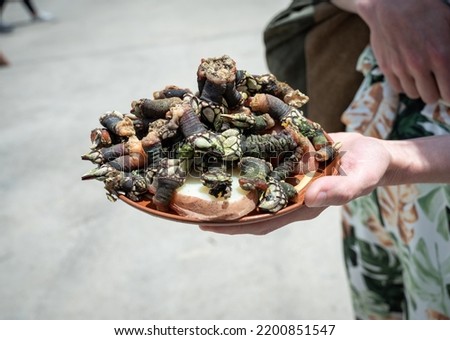 Woman showing a plate of barnacles Royalty-Free Stock Photo #2200851547