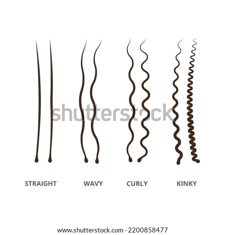 Hair types set. Congenital and acquired varieties of wavy and curly human and animal hair with straight and curly vector design Royalty-Free Stock Photo #2200858477
