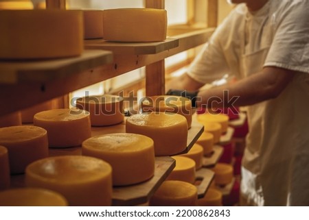 A farmer turns over cheese heads on wooden shelves in the cheese maturation storage. The concept of production of European cheeses and dairy products Royalty-Free Stock Photo #2200862843