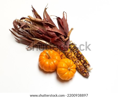Autumn  Still life of corn and pumpkins isolated on white Royalty-Free Stock Photo #2200938897