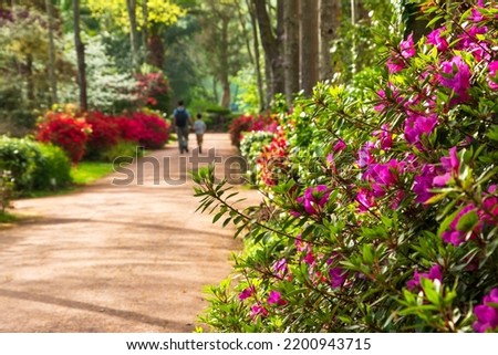 Father and son holding hands and walking in blooming park alley. Family summer vacation background. Fatherhood, childhood happy memories, healthy lifestyle concepts. Selective focus on flowers
