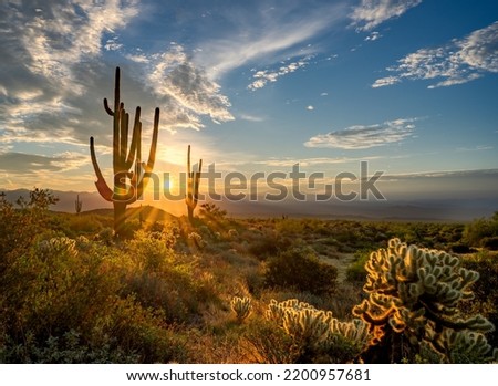 Sunrise in the Majestic McDowell Mountains in Scottsdale, AZ Royalty-Free Stock Photo #2200957681