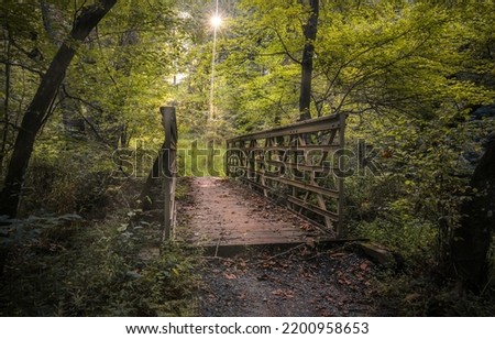 Pedestrian bridge across the river in the forest. Forest pedestrian bridge. Pedestrian bridge in forest. Forest bridge way Royalty-Free Stock Photo #2200958653
