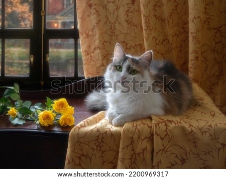 Charming kitty with a branch of yellow roses