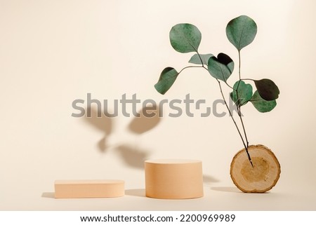 Podium or displays with natural eucalyptus leaves and shadows. Minimal aesthetic background for cosmetic and product presentation