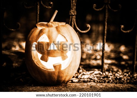 halloween jack-o-lantern on autumn leaves 