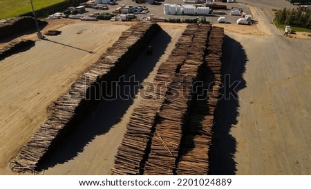 Pile of trunks at paper mill factory, Fray Bentos in Uruguay. Aerial top-down view Royalty-Free Stock Photo #2201024889