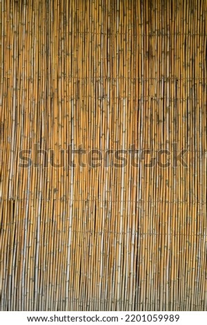 wooden bamboo wall background for interior design