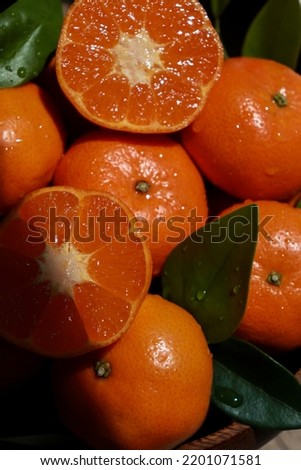 close up of mandarins with leafs and water drops, black background Royalty-Free Stock Photo #2201071581