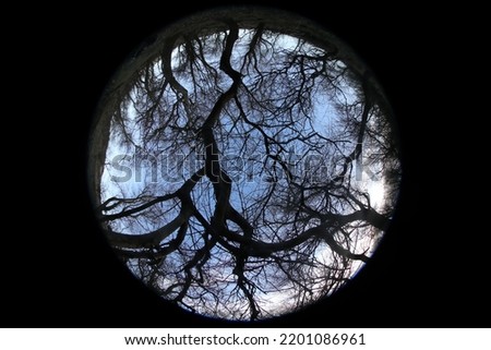 Landscape with trees without leaves, fisheye circle effect