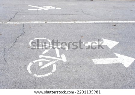 Road markings of a bicycle path in a park on a riding lane. A sidewalk for pedestrians and a lane for cyclists. Rules of road safety, active recreation area