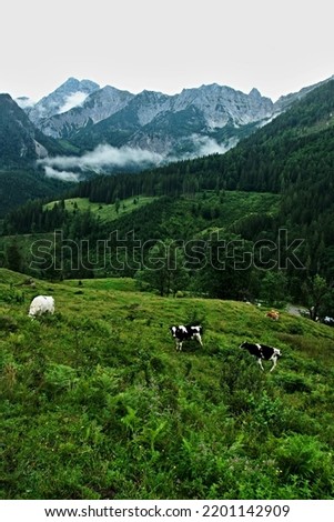Austrian Alps - view of the mountains in the Totes Gebirge near Windischgarsten Royalty-Free Stock Photo #2201142909